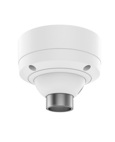 Axis T91B51 Ceiling Mount