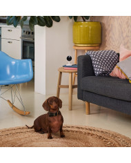 Yale viedā iekštelpu kamera (1080p)