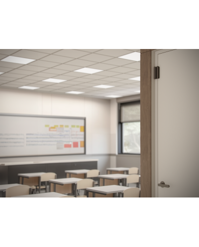 BASELINE DOORPROTECT/BLACK 38098 AJAX