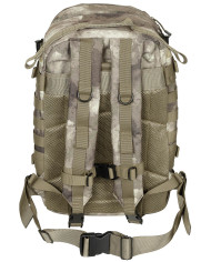 US Backpack, Assault II, HDT-camo