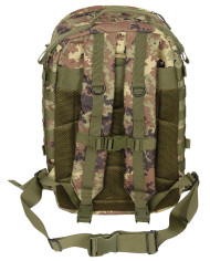 US Backpack, Assault II, vegetato