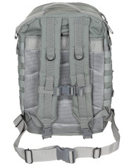 US Backpack, Assault II, foliage